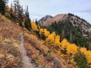 Bowman Fork autumn